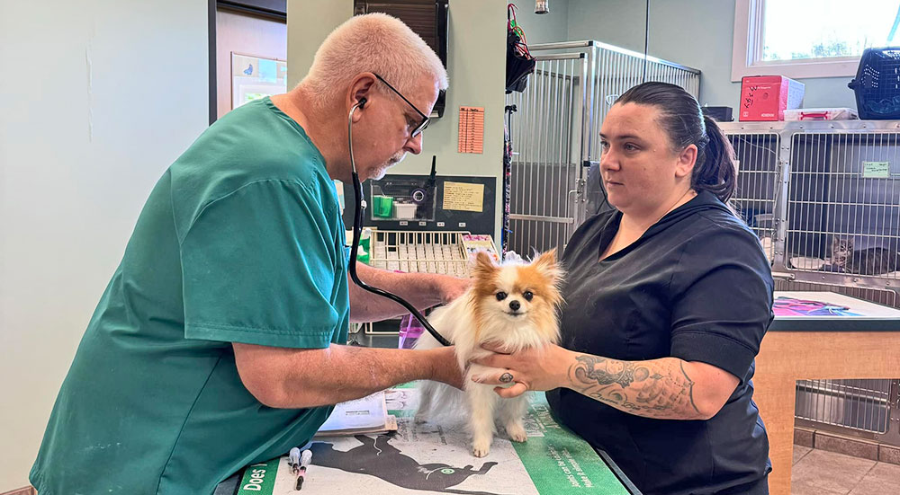 Dr Lofgren performing an routine checkup exam